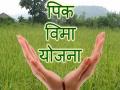 आॅनलाइन पीक विम्याचा पहिलाच प्रयोग ‘फेल’! - Marathi News | on line crop insurance scheme failed | Latest buldhana News at Lokmat.com